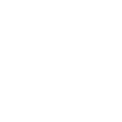 Bean to bar
